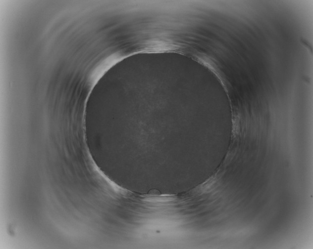 X0000101981487200808081602