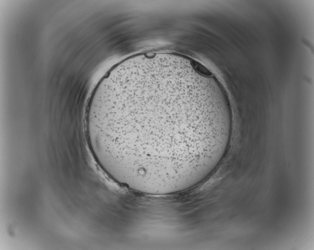 X0000101981488200808081602