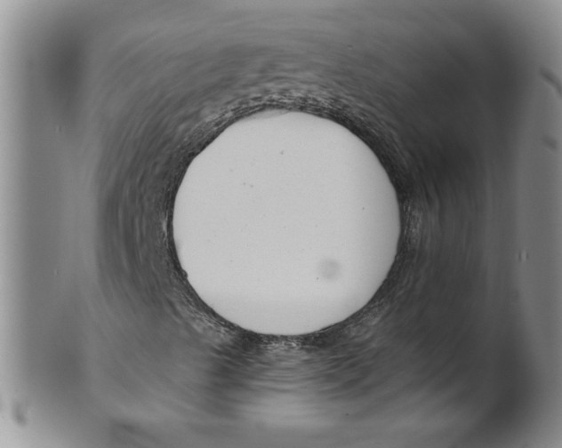 X0000101981489200808081601