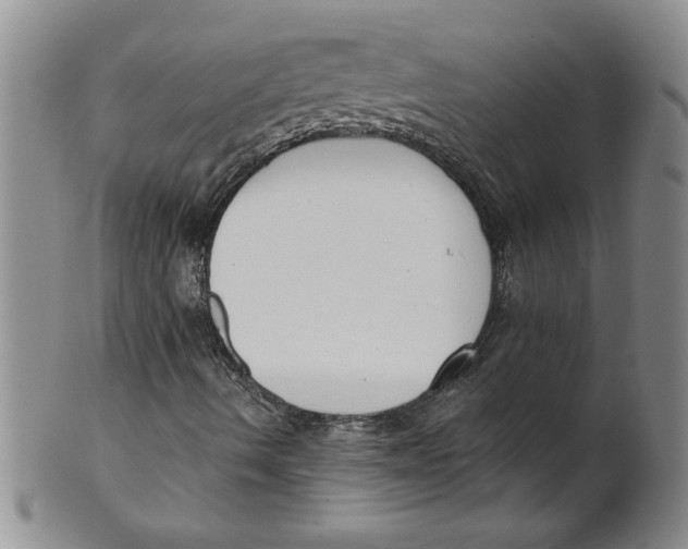 X0000101981490200808081601