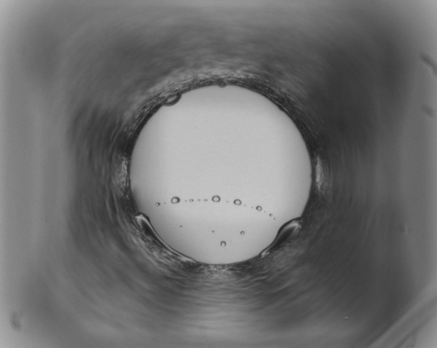 X0000101981492200808081601