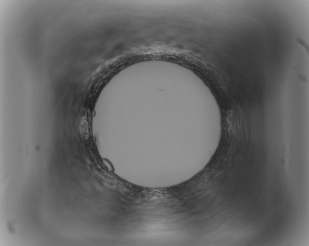 X0000101981493200808081601