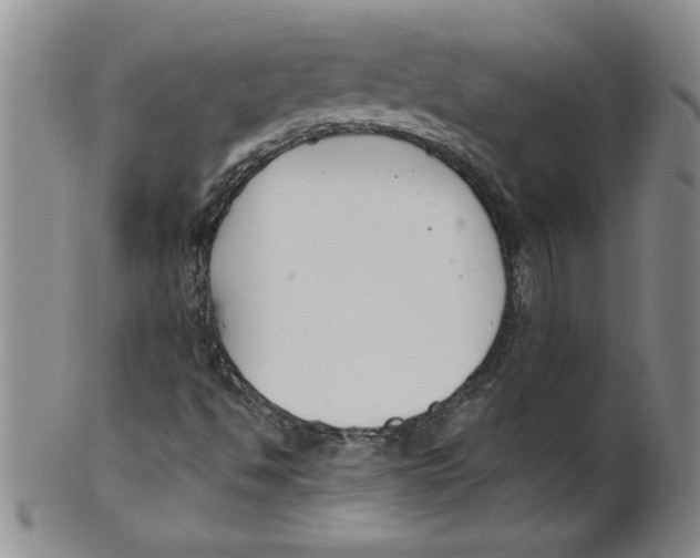 X0000101981494200808081601