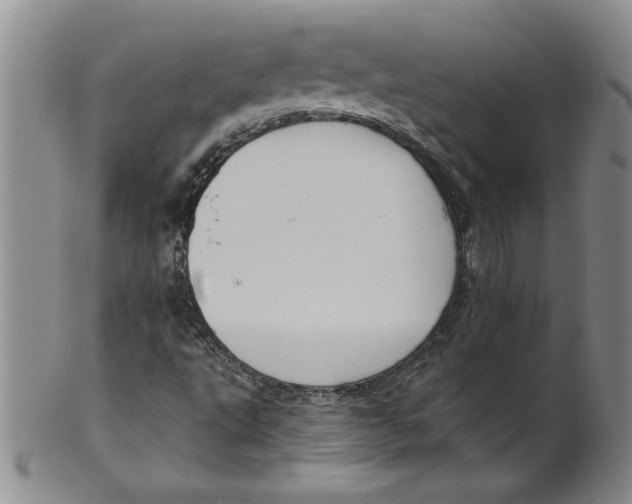 X0000101981495200808081601