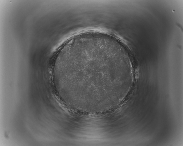 X0000101981496200808081601