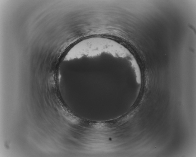 X0000101981497200808081601