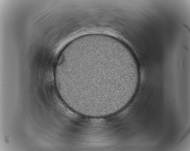 X0000101981498200808081601