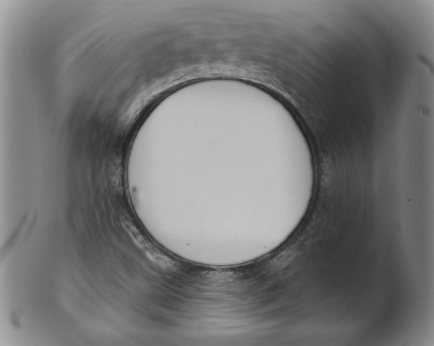 X0000101981499200808081601