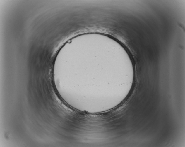 X0000101981500200808081601