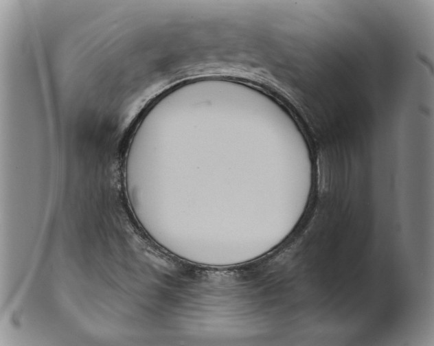 X0000101981501200808081601