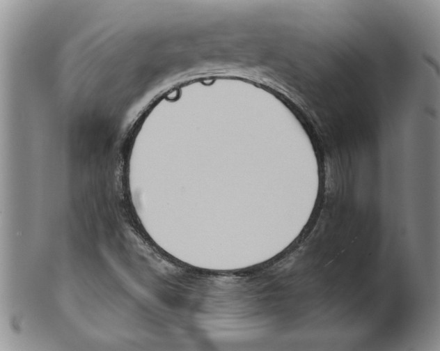 X0000101981502200808081601