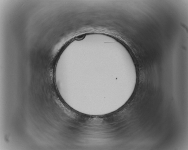 X0000101981503200808081601