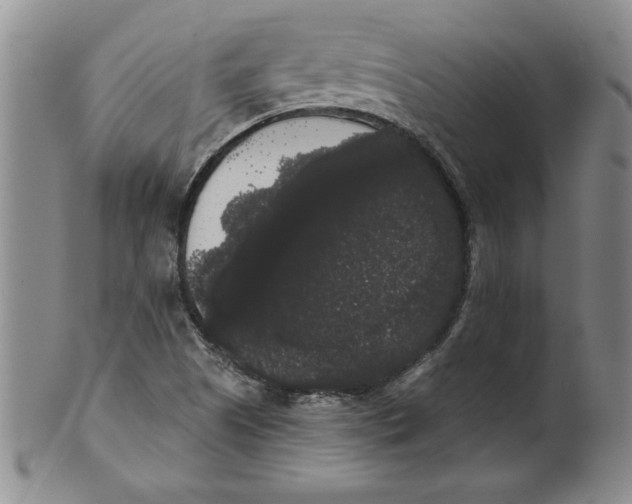 X0000101981505200808081602