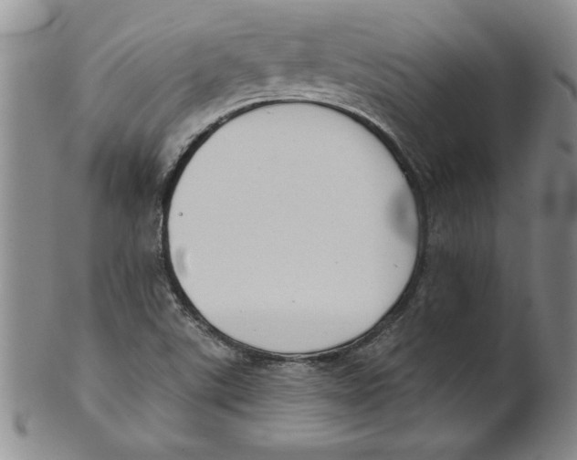 X0000101981507200808081602