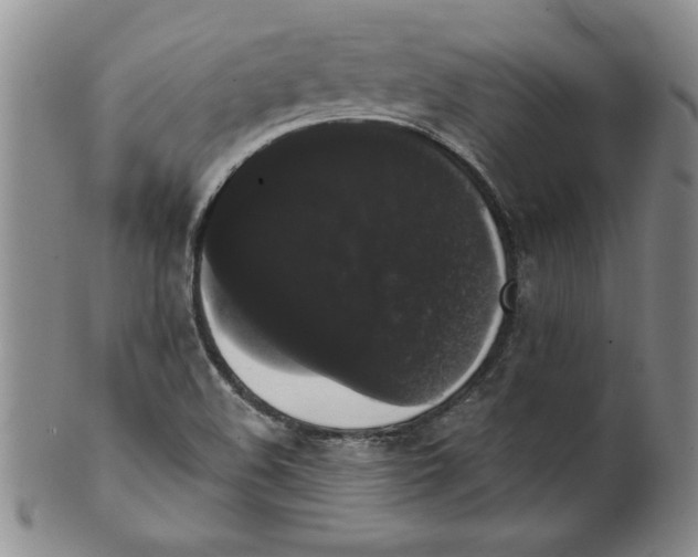 X0000101981508200808081602