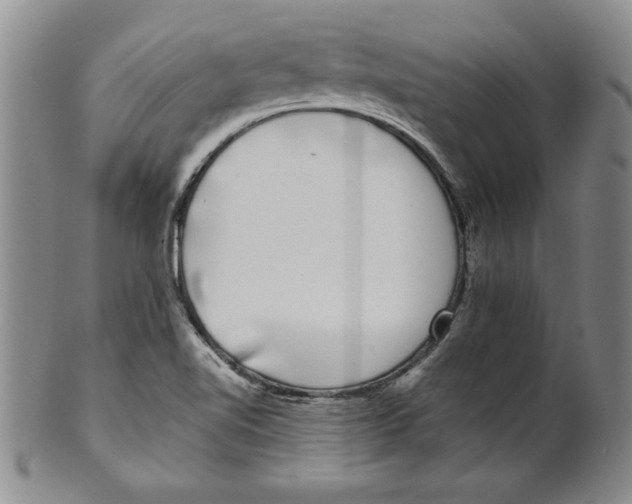 X0000101981510200808081602