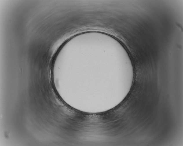 X0000101981511200808081602