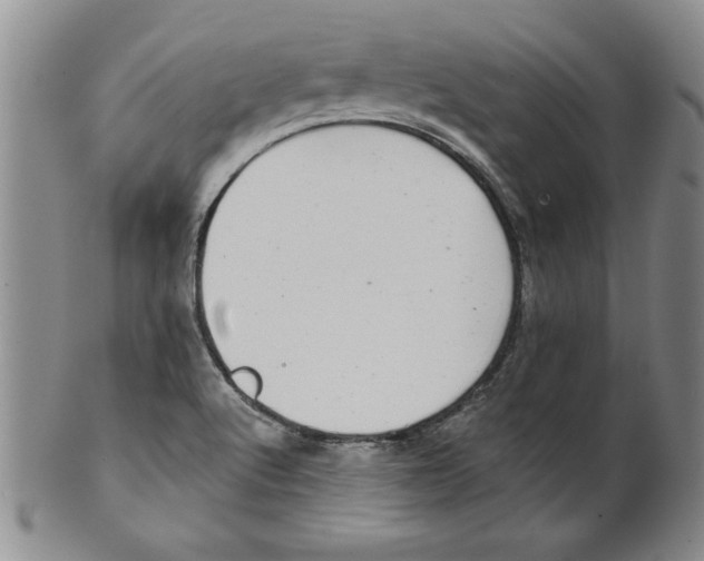 X0000101981512200808081602