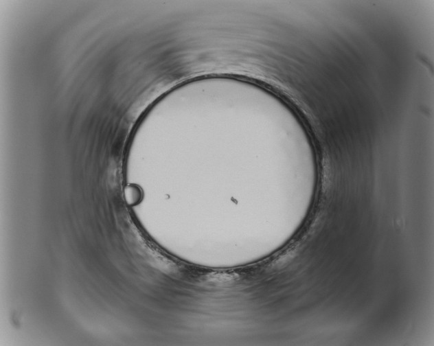 X0000101981513200808081602