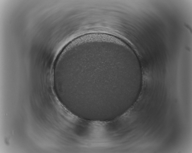 X0000101981514200808081602