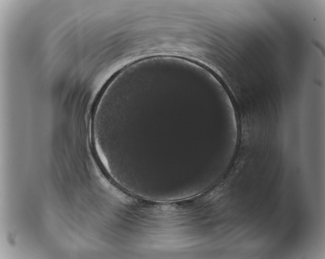 X0000101981515200808081602