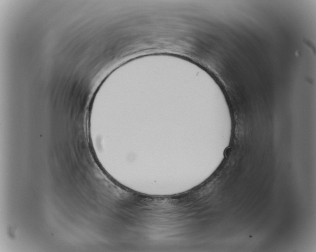 X0000101981516200808081602