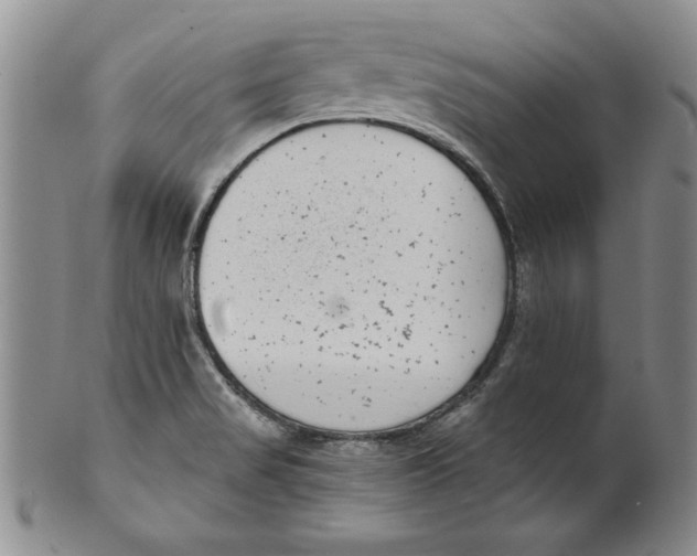 X0000101981517200808081602