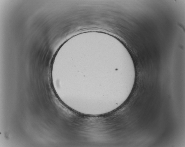 X0000101981518200808081602