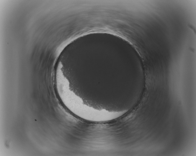 X0000101981519200808081602