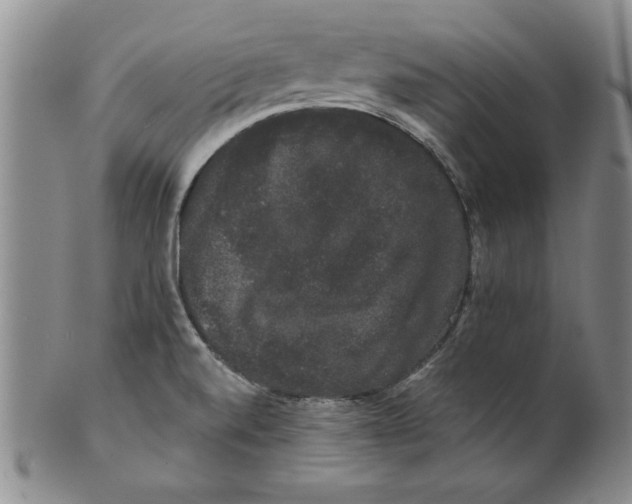 X0000101981520200808081602