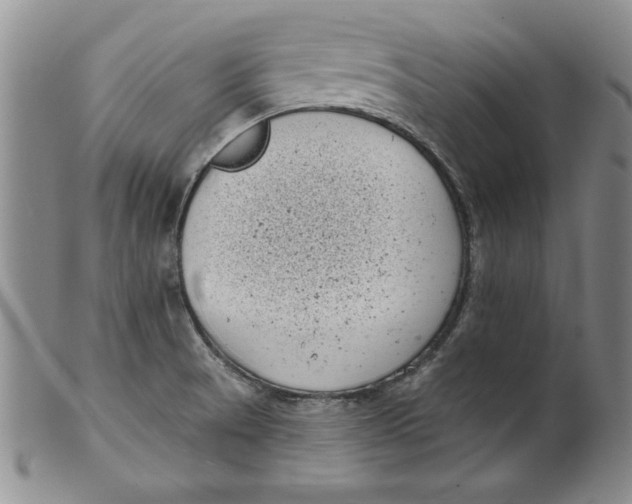 X0000101981521200808081602