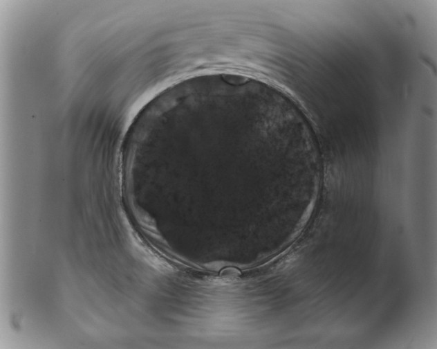 X0000101981522200808081602