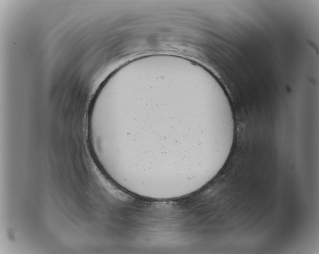 X0000101981523200808081602