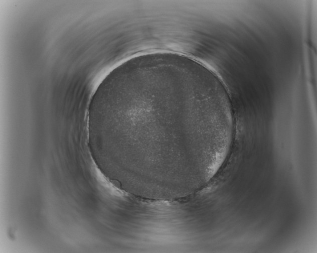 X0000101981524200808081602