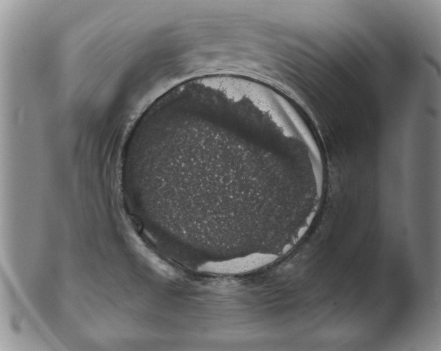 X0000101981525200808081602