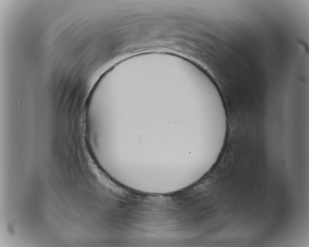 X0000101981526200808081602