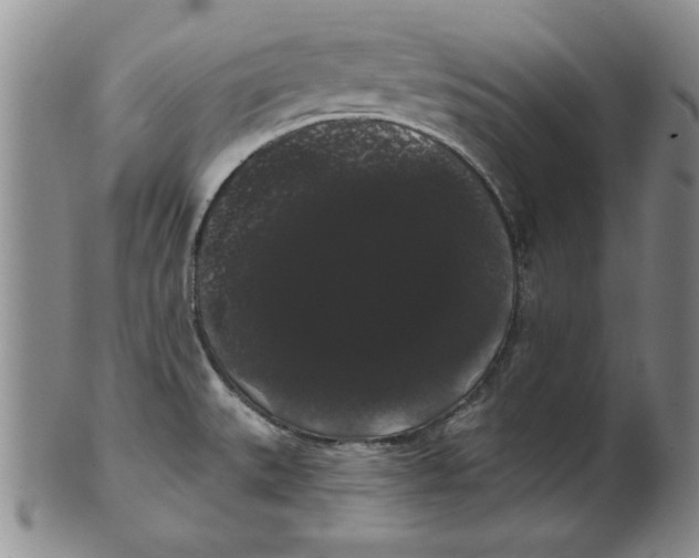 X0000101981527200808081602