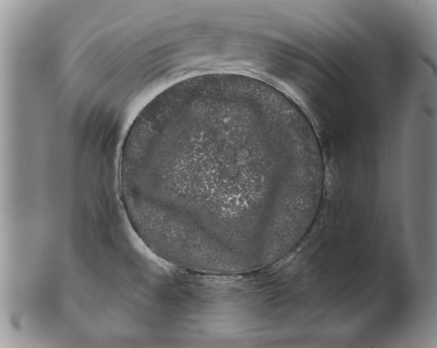 X0000101981528200808081602