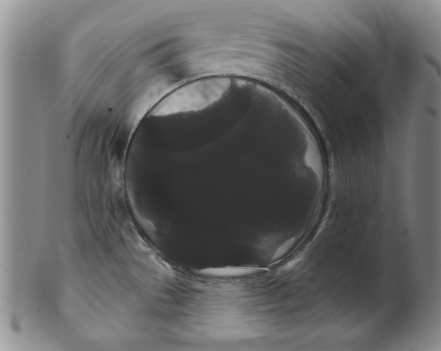 X0000101981529200808081602