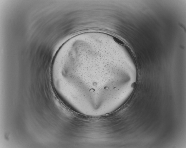 X0000101981530200808081602