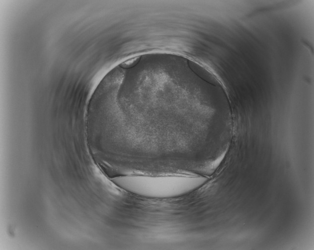 X0000101981532200808081602