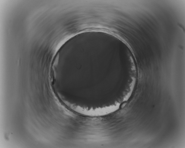 X0000101981533200808081602