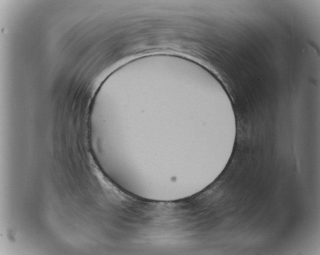 X0000101981534200808081602