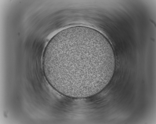 X0000101981535200808081602