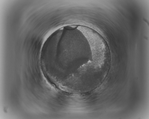 X0000101981536200808081602