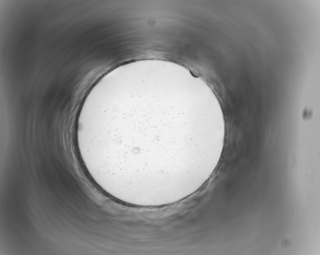 X0000101980001200808151412