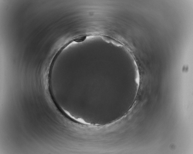 X0000101980002200808151412