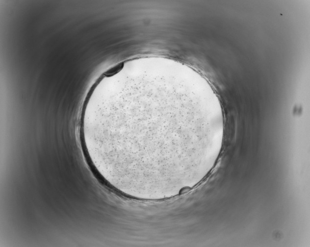 X0000101980003200808151412