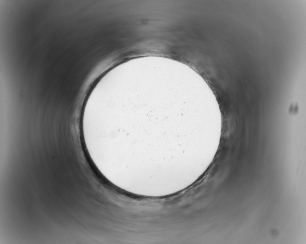 X0000101980004200808151412