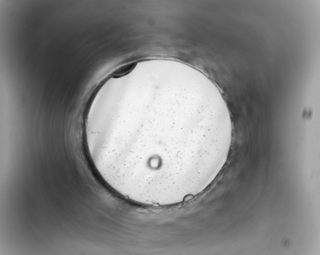 X0000101980005200808151412